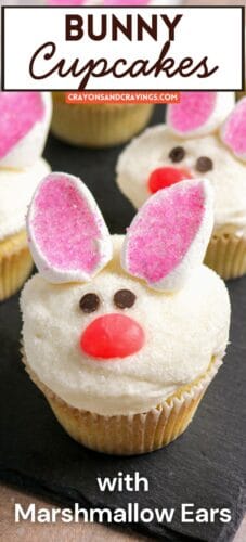 Pin with cute bunny cupcake. Text reads &ldquo;Bunny Cupcakes with Marshmallow Ears.&rdquo;