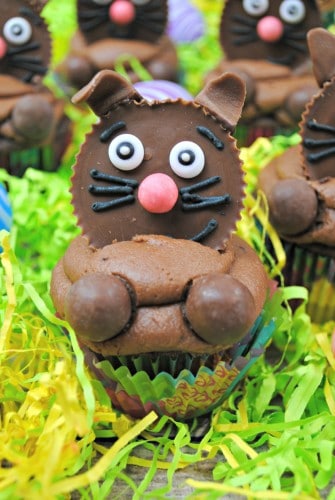 Easter Bunny Cupcakes