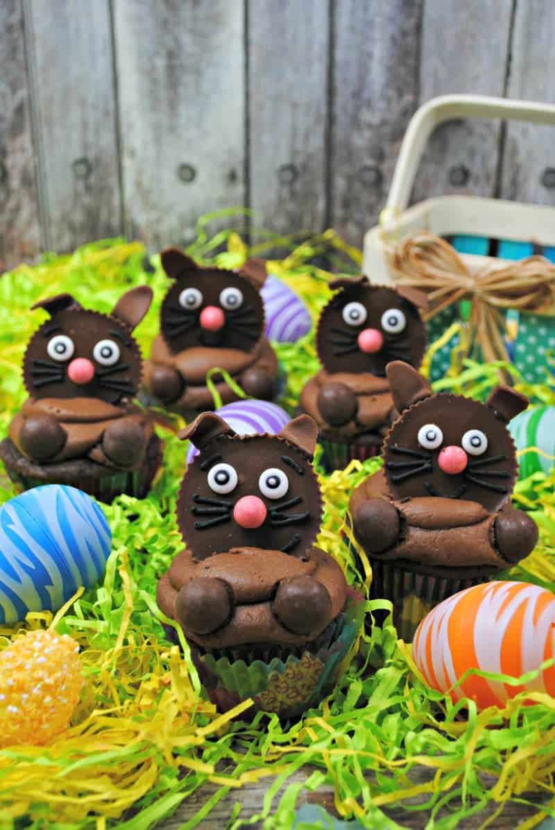 Easter Bunny Cupcakes made by topping chocolate cupcakes with chocolate frosting and peanut butter cups decorated as bunny faces.