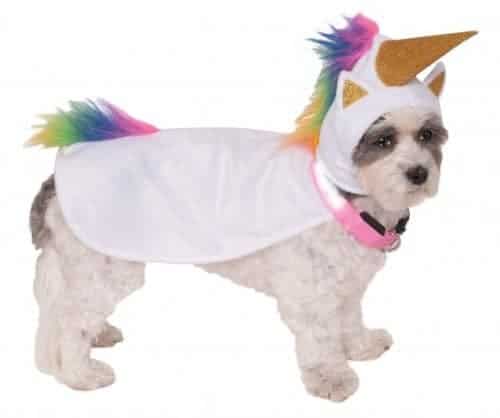 50 Adorable Pet Halloween Costumes For Dogs And Cats