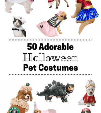 50 Adorable Pet Halloween Costumes