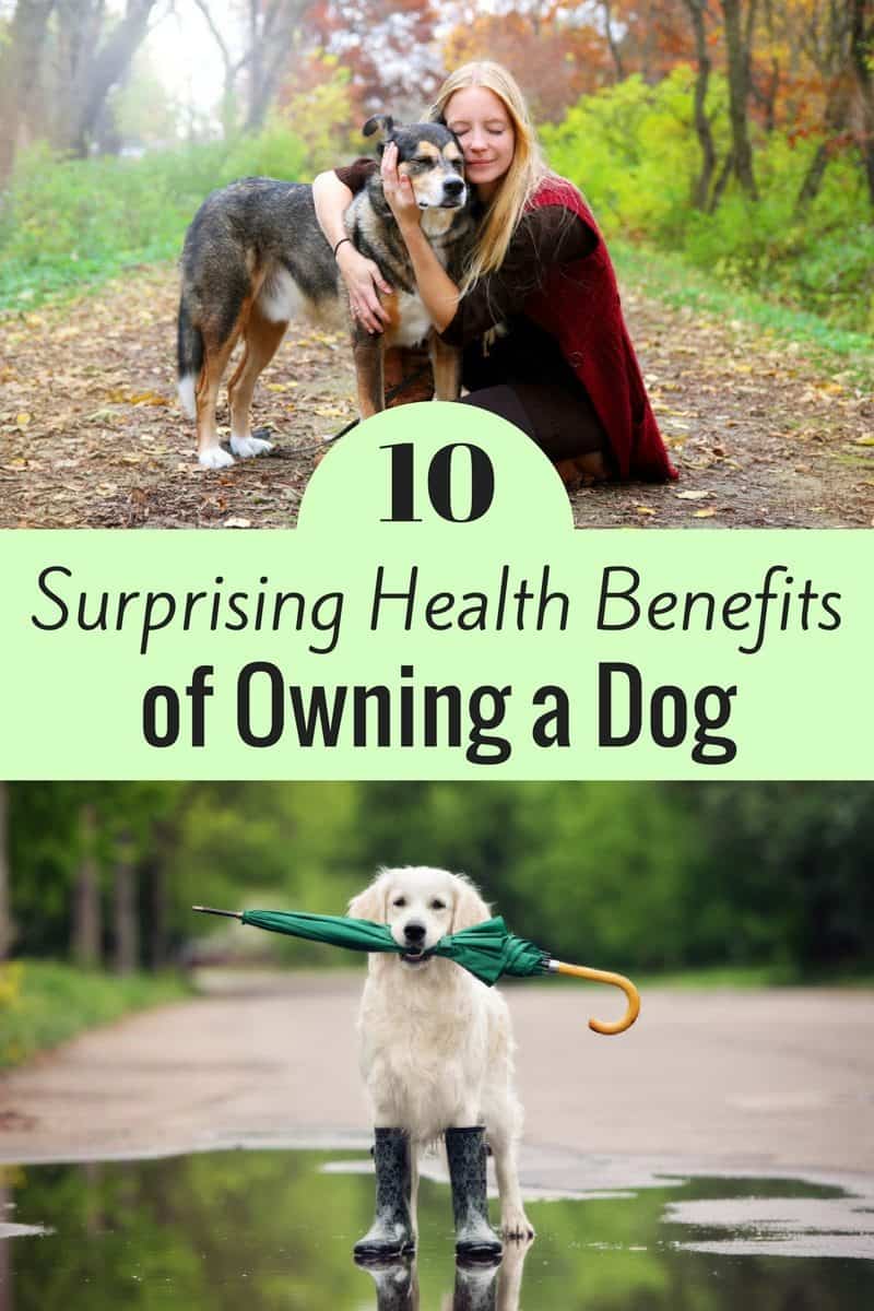 10 Surprising Health Benefits of Owning a Dog