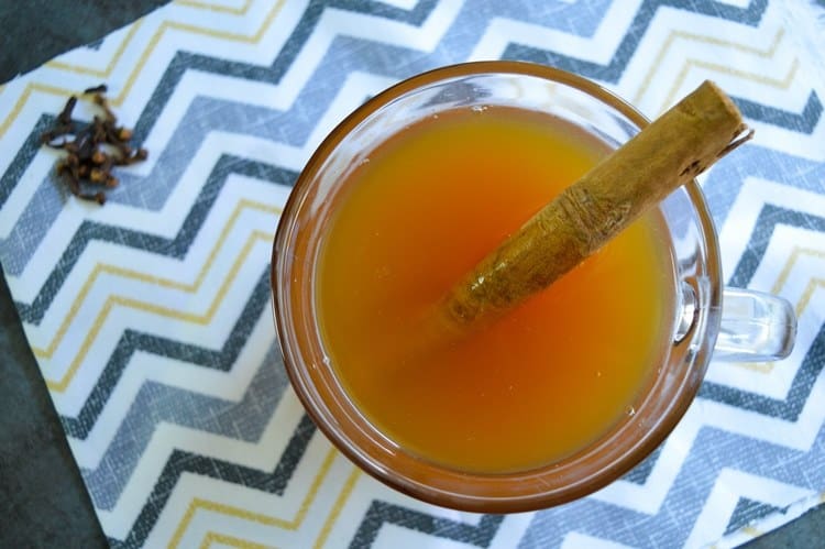 Slow Cooker apple cider in glass garnished with cinnamon stick.