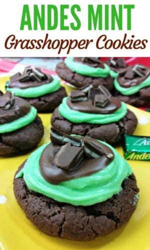 Do you love the flavor combination of chocolate and mint? These delicious Andes Mint Grasshopper Cookies put all other grasshopper cookies to shame.
