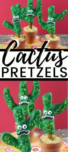 Not only are chocolate covered cactus pretzels a tasty treat, but they will also serve as decorations on your Cinco de Mayo table.