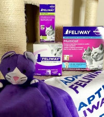 As cat owners we do everything that we can for our pets. Read on to find out how Feliway® and Catego™ can help to keep your cats happy and healthy.