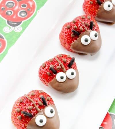 These adorable chocolate covered strawberry ladybugs are the perfect treat for your next summer party.