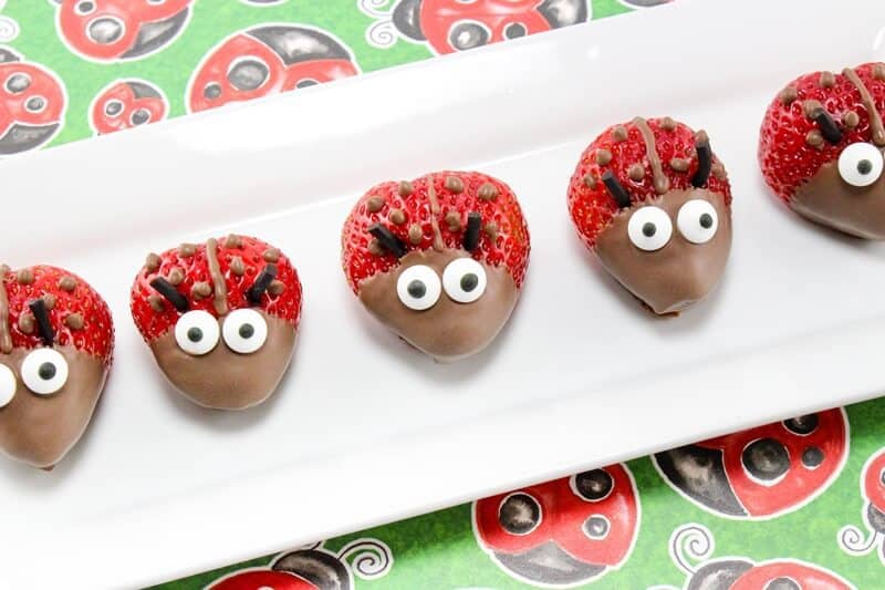 Chocolate covered strawberries decorated to look like ladybugs.