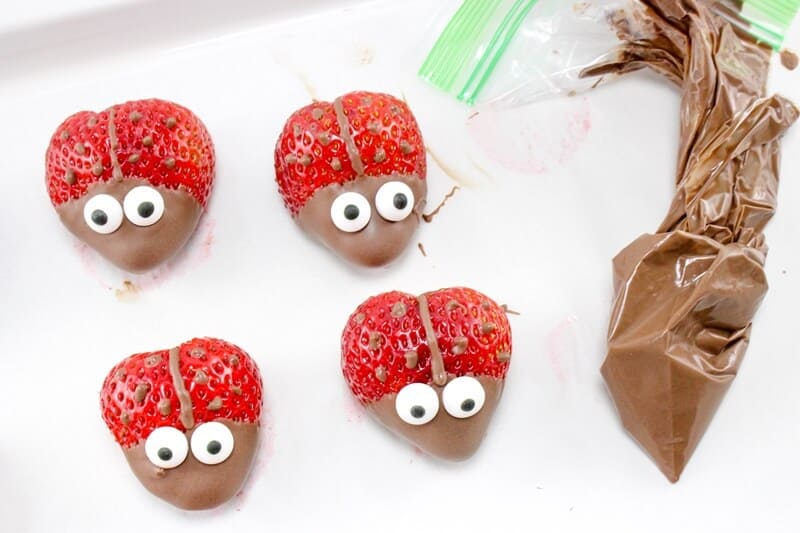 Strawberries with melted chocolate piped on to make a line down their back and dots like a ladybug. 