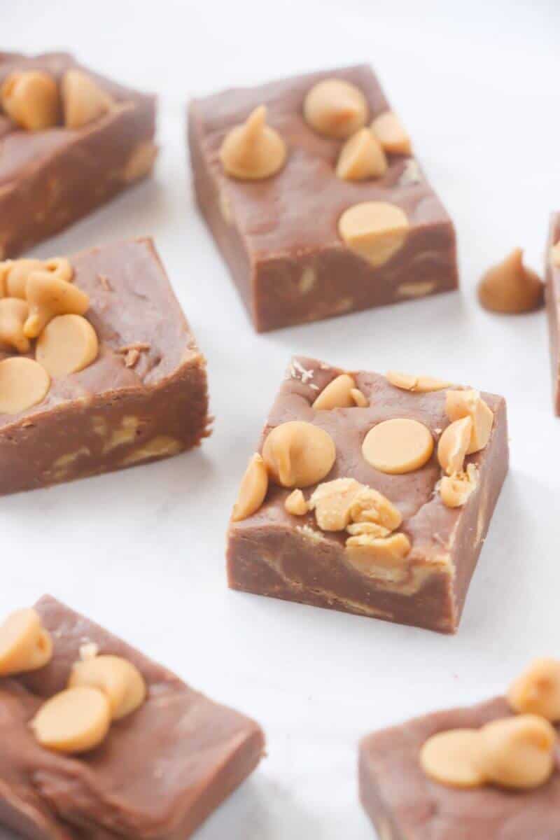 East chocolate peanut butter fudge with peanut butter chips sliced into bite-sized squares.