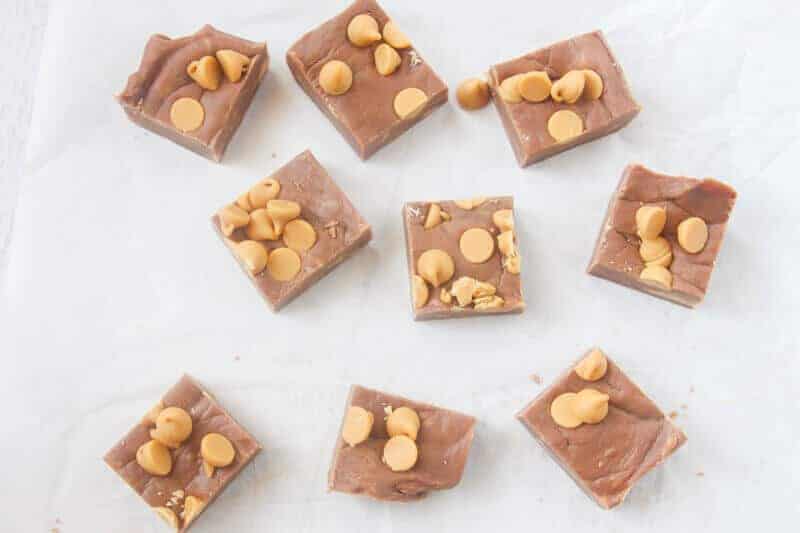 Square pieces of peanut butter chocolate fudge with peanut butter chips on top.