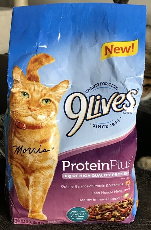 Kaip prižiūrėti katę - „9Lives Protein Plus“