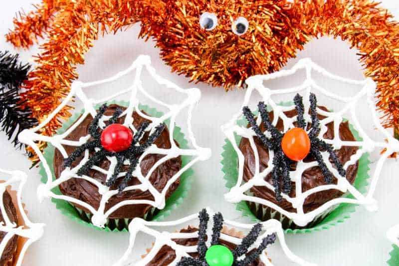 Chocolate frosted cupcakes with spider webs and spiders on top.