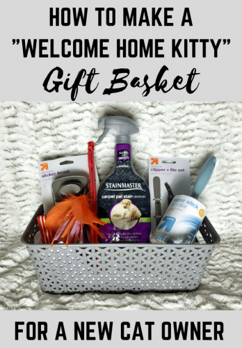 This fun DIY "Welcome Home Kitty" cat gift basket is filled with goodies for kitty and makes the purrfect gift for new cat owners.