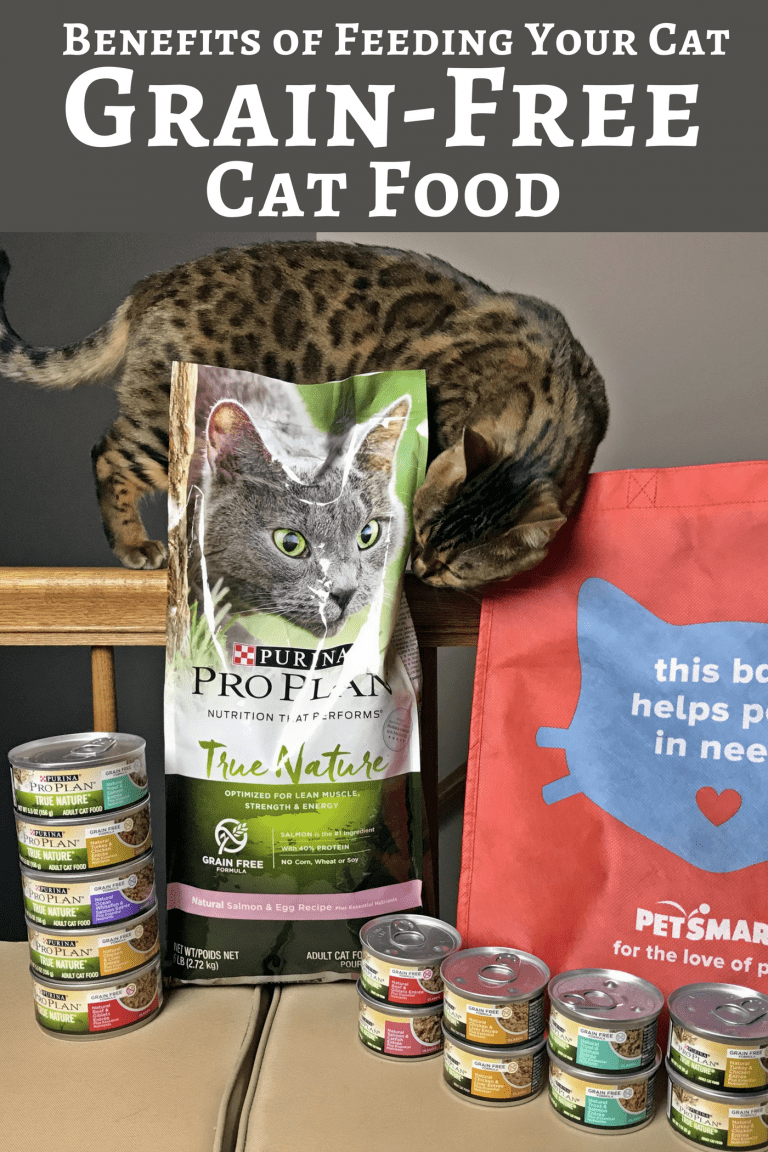 Benefits of Feeding Your Cat GrainFree Cat Food
