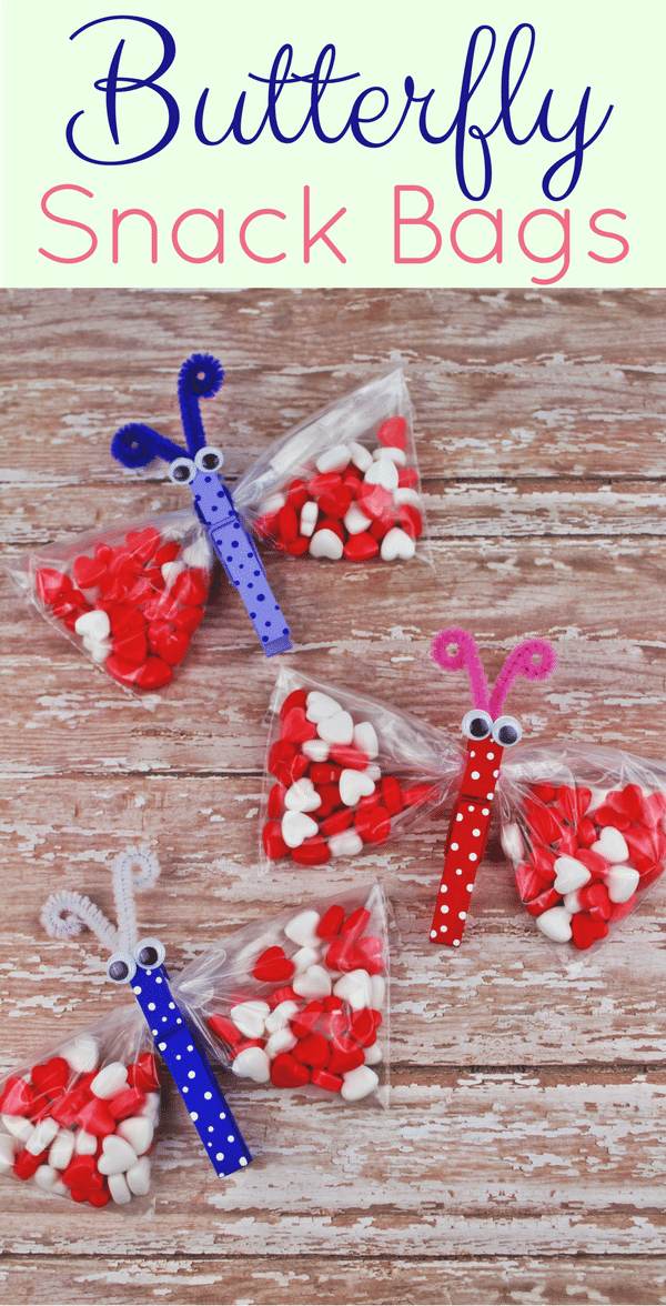 Butterfly snack bags pin.