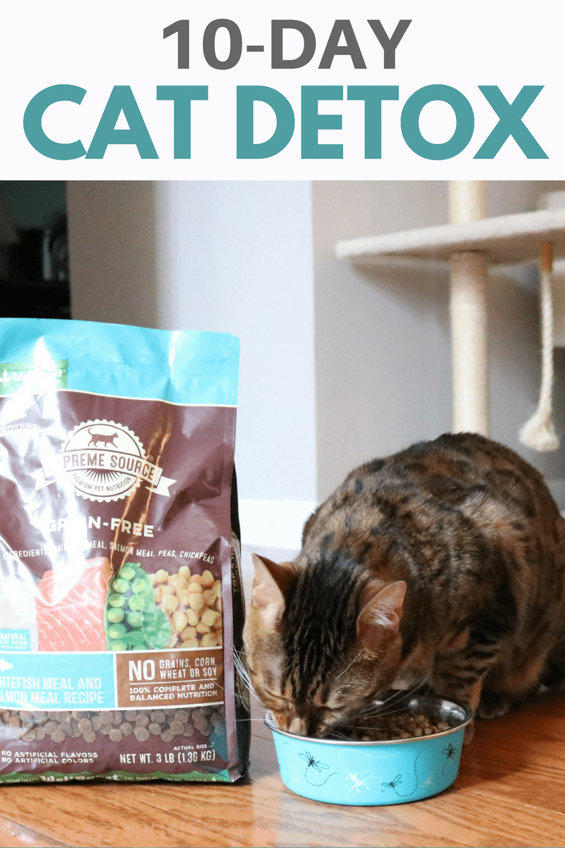 We care about what we put in our bodies, but what about our cats?! That is why we are starting our girls on a 10-Day Pet Detox with Supreme Source®, a premium grain-free cat food packed with healthy ingredients which will help them clean out any toxins that have been building up in their systems. #SuperFoodSwitch #IC