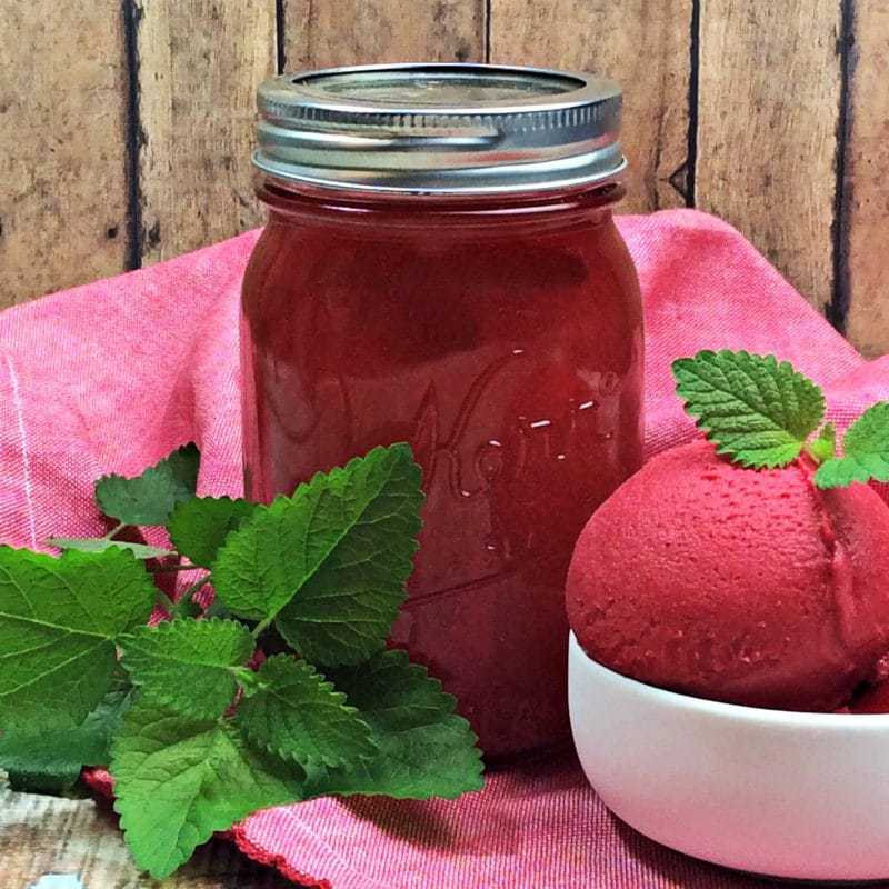 An easy homemade moonshine recipe with Everclear, raspberries, sugar, mint, and vanilla.  This sweet and refreshing Raspberry Gelato Moonshine is a great fruit flavored moonshine recipe that can be enjoyed on its own or mixed to make a cocktail.