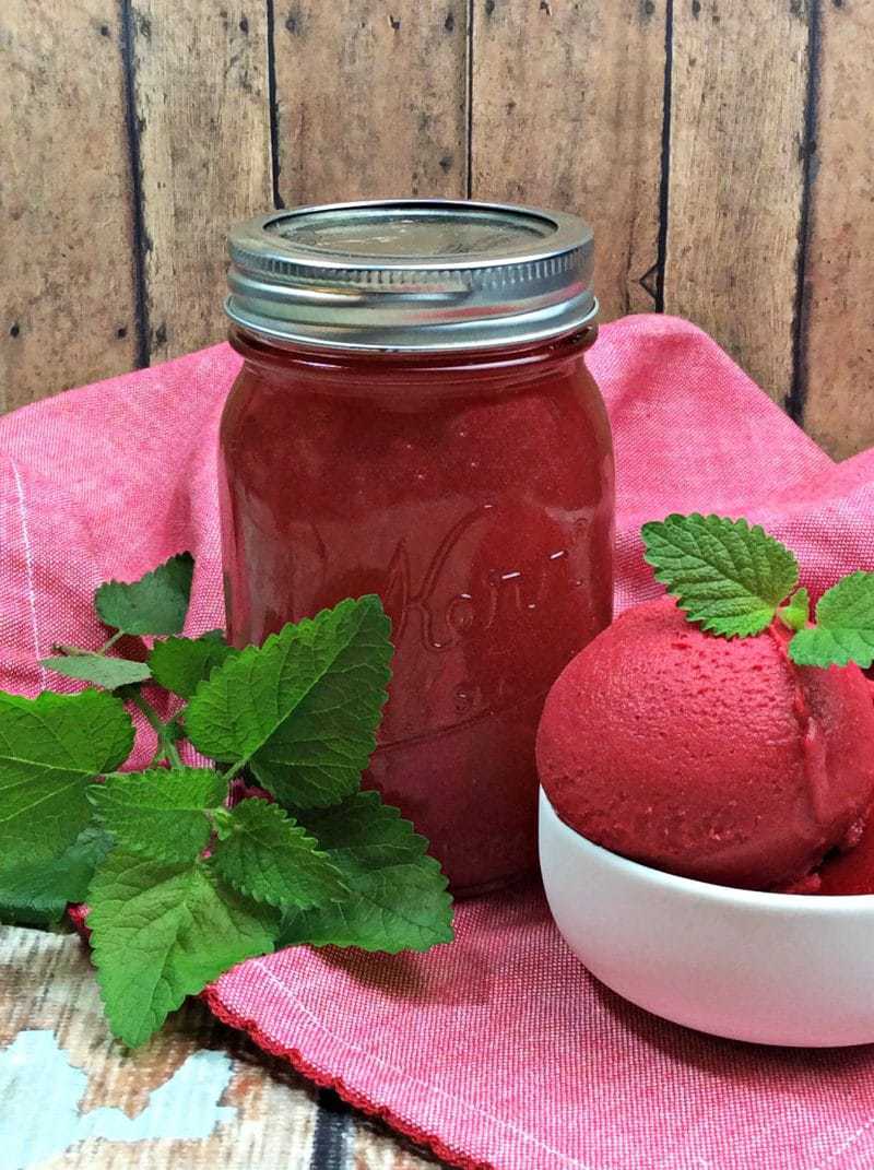 An easy homemade moonshine recipe with Everclear, raspberries, sugar, mint, and vanilla.  This sweet and refreshing Raspberry Gelato Moonshine is a great fruit flavored moonshine recipe that can be enjoyed on its own or mixed to make a cocktail.