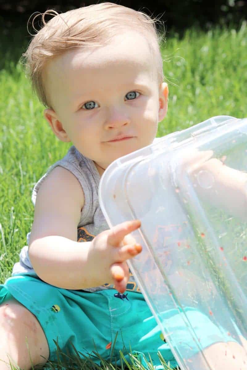 This colored ice play activity using ice cubes colored with drink mix makes for a  fun, low cost, and easy outdoor sensory activity for little ones.