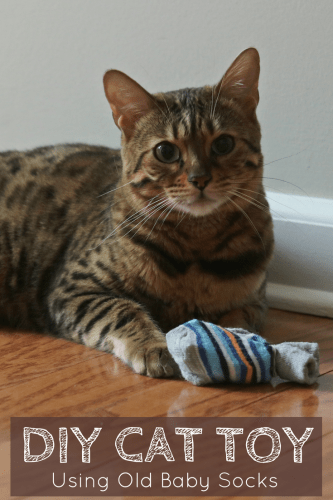 I will show you how to make cat toys using old baby socks. These homemade cat toys are easy to make and perfect for using at home or donating at animal shelters for the cats to enjoy.
