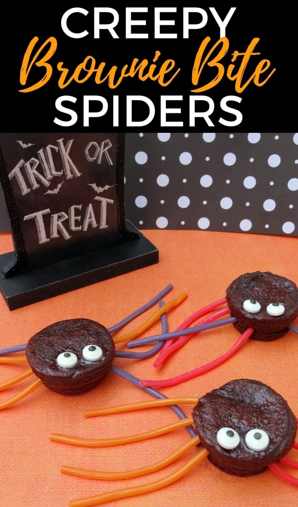 Creepy Brownie Bite Spider Pin.