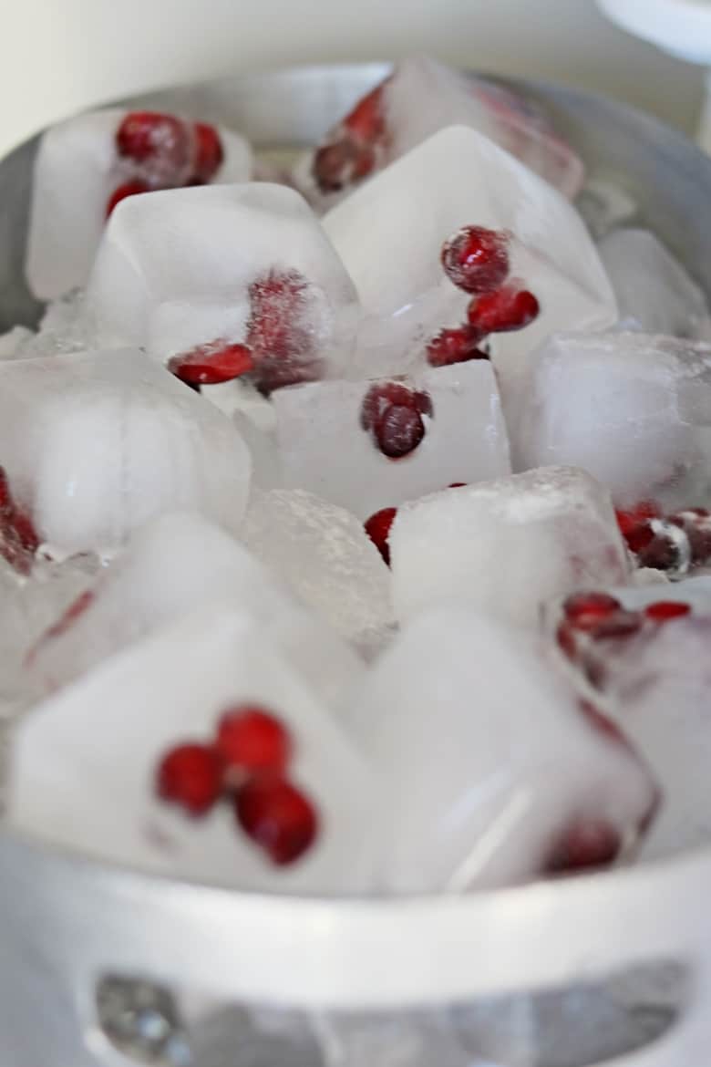 Cranberry Ice Cubes