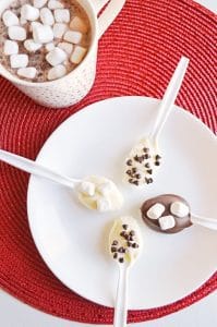Chocolate Spoons for Cocoa or Coffee