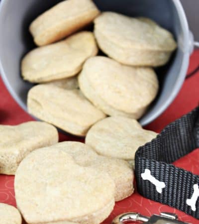 Make your own dog treats in 30 minutes with this easy homemade dog treat recipe. Made with just 6 ingredients, you likely have everything you need at home already.
