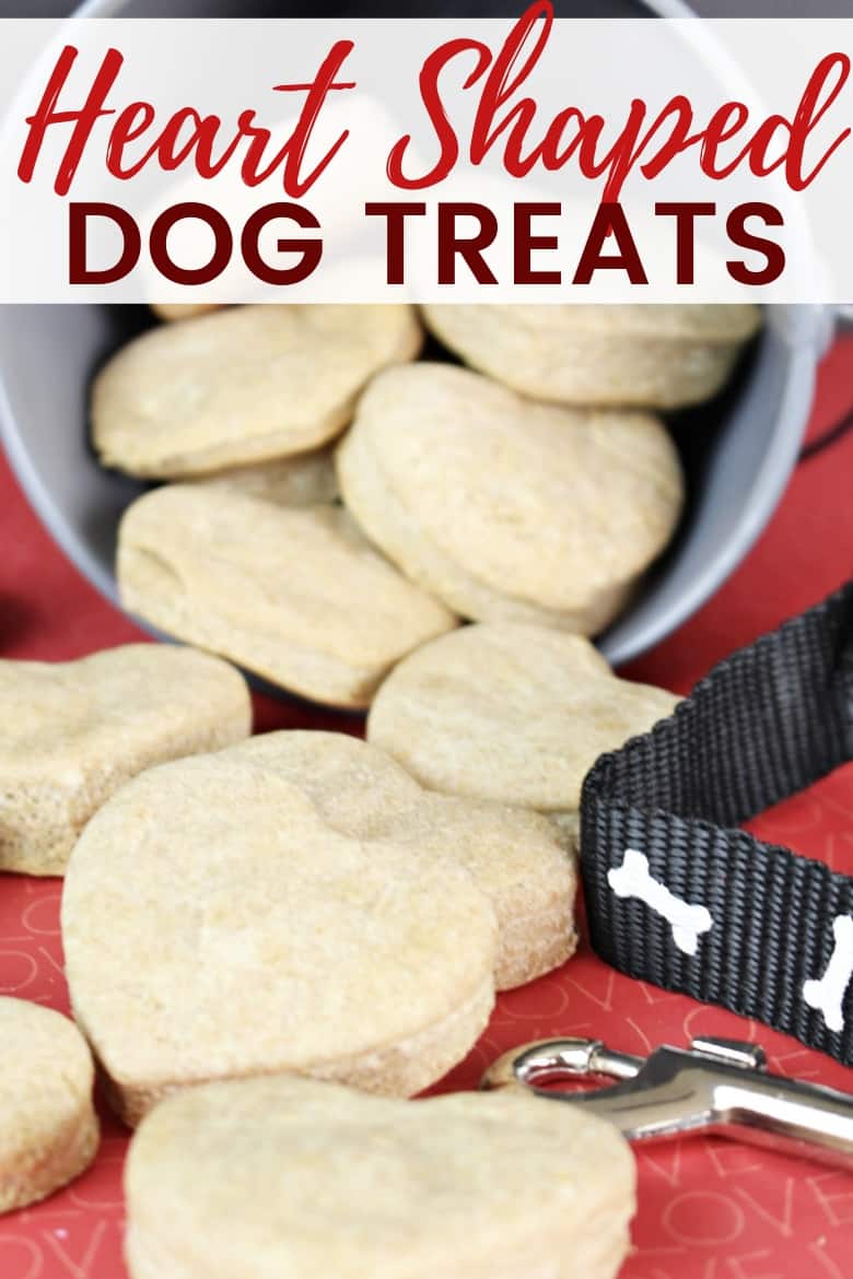 Make your own dog treats in 30 minutes with this easy homemade dog treat recipe. Made with just 6 ingredients, you likely have everything you need at home already.