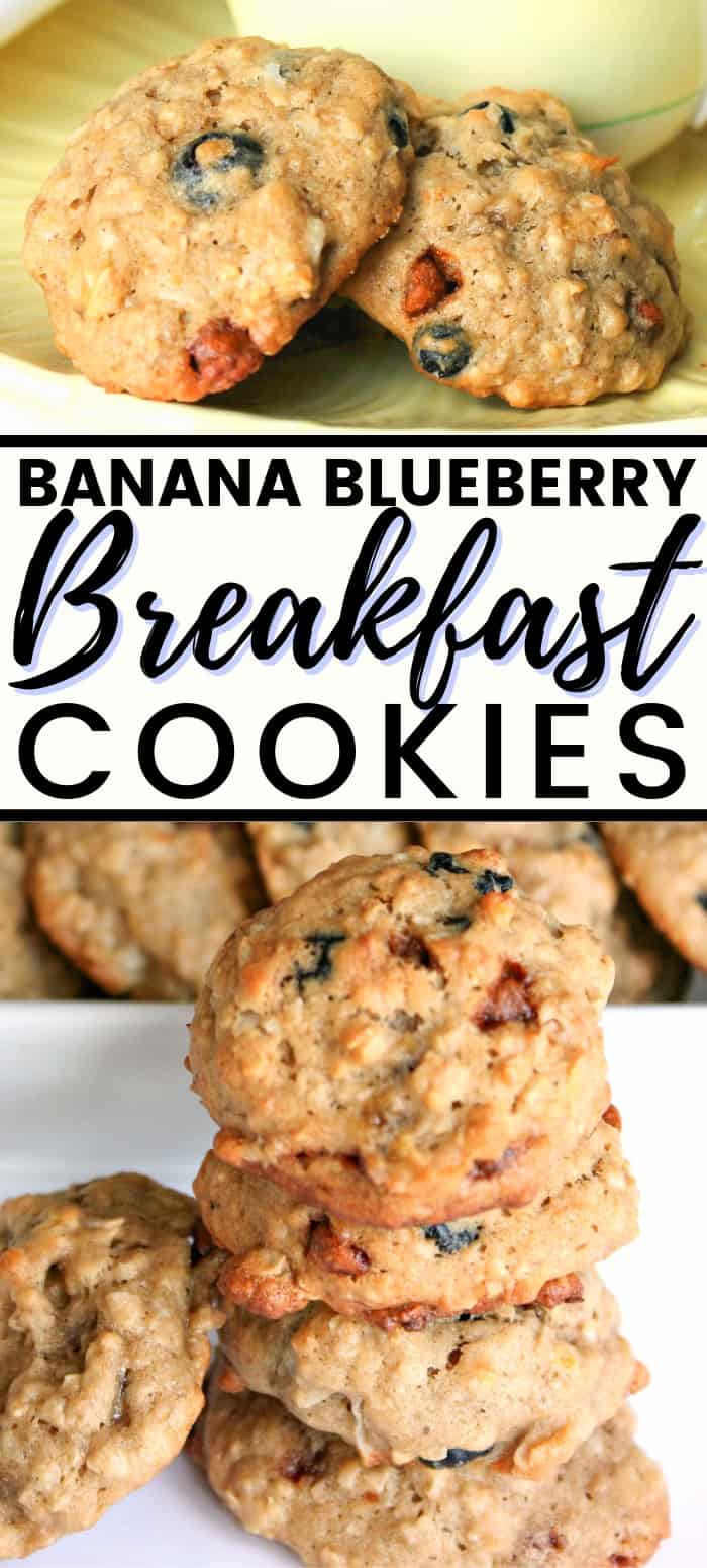These flavorful, soft breakfast cookies are full of bananas, blueberries, nuts, and oatmeal -- perfect for a quick breakfast as you dash out the door. 