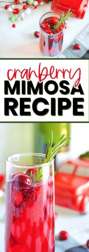 cranberry mimosa recipe