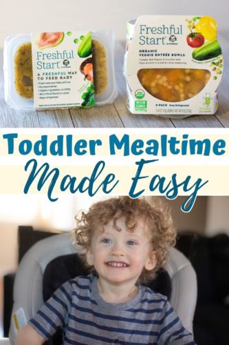 Toddler Mealtime Made Easy Pin