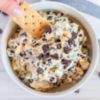 Cookie Dough Dip Square