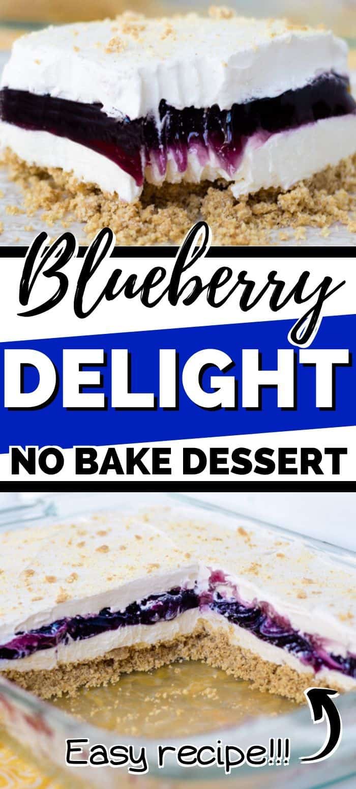 Blueberry Delight No Bake Dessert