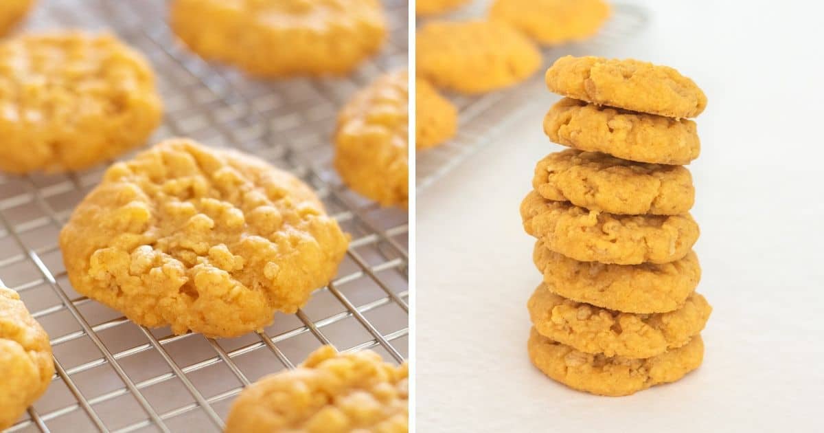 Cheddar Cheese Cookies with Rice Krispies (Savory Cookie Recipe)