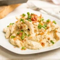 Creamy shredded chicken with pancetta and green onions