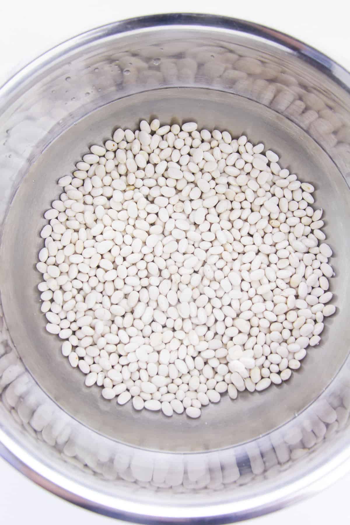 Dry white navy beans in stainless steel pot.