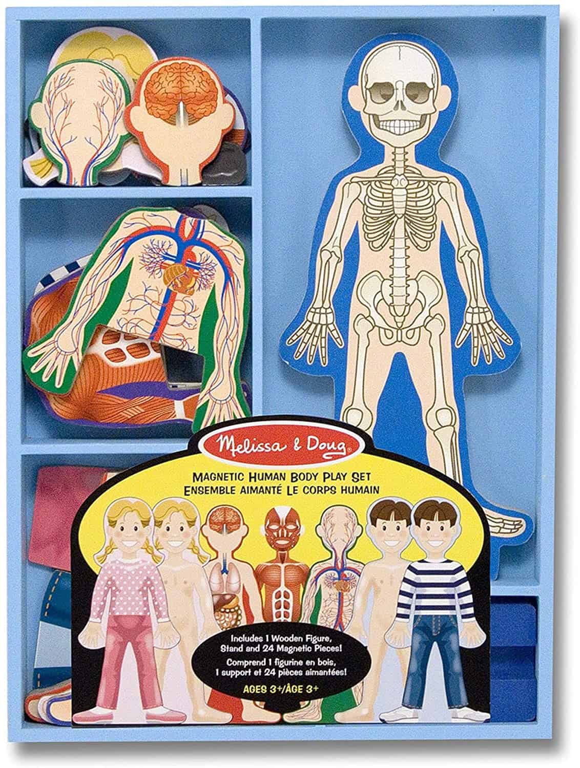 Human Body Play Set for Kids