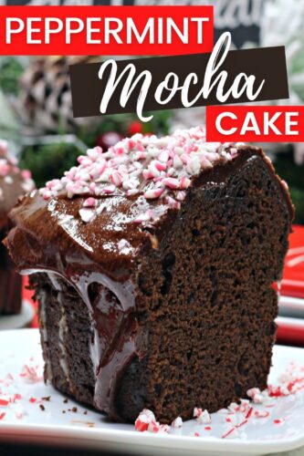 Peppermint Mocha Cake