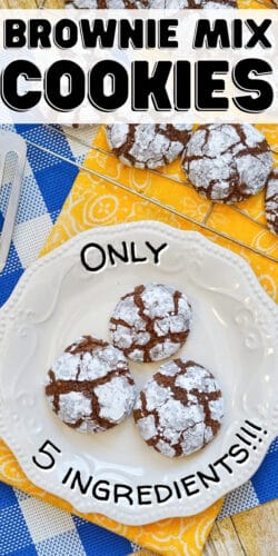Brownie Mix Cookies: Only 5 Ingredients!!!