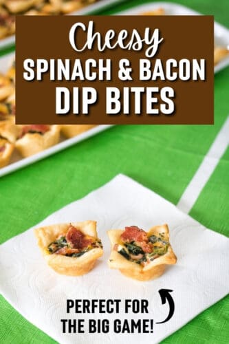 Cheesy Spinach an Bacon Dip Bites