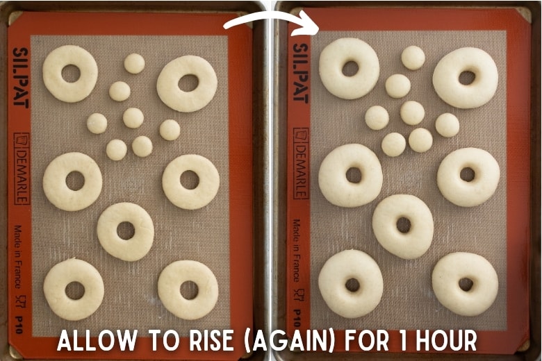 allow to rise (again) for 1 hour