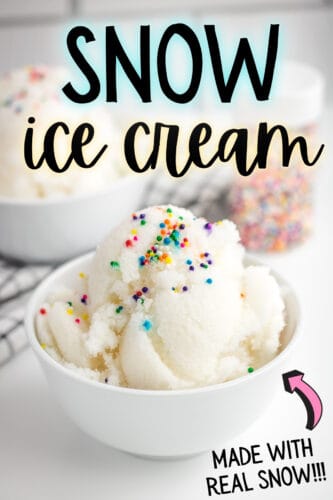 Snow Ice Cream, made with real snow