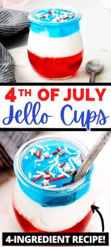 4th of July Jello Cups Pin