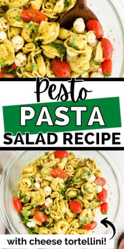 Pesto Pasta Salad Recipe with Tortellini