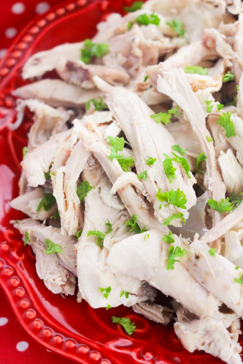 pulled chicken on red plate garnished with fresh parsley