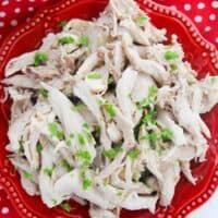 Overhead image of shredded poached chicken on red plate