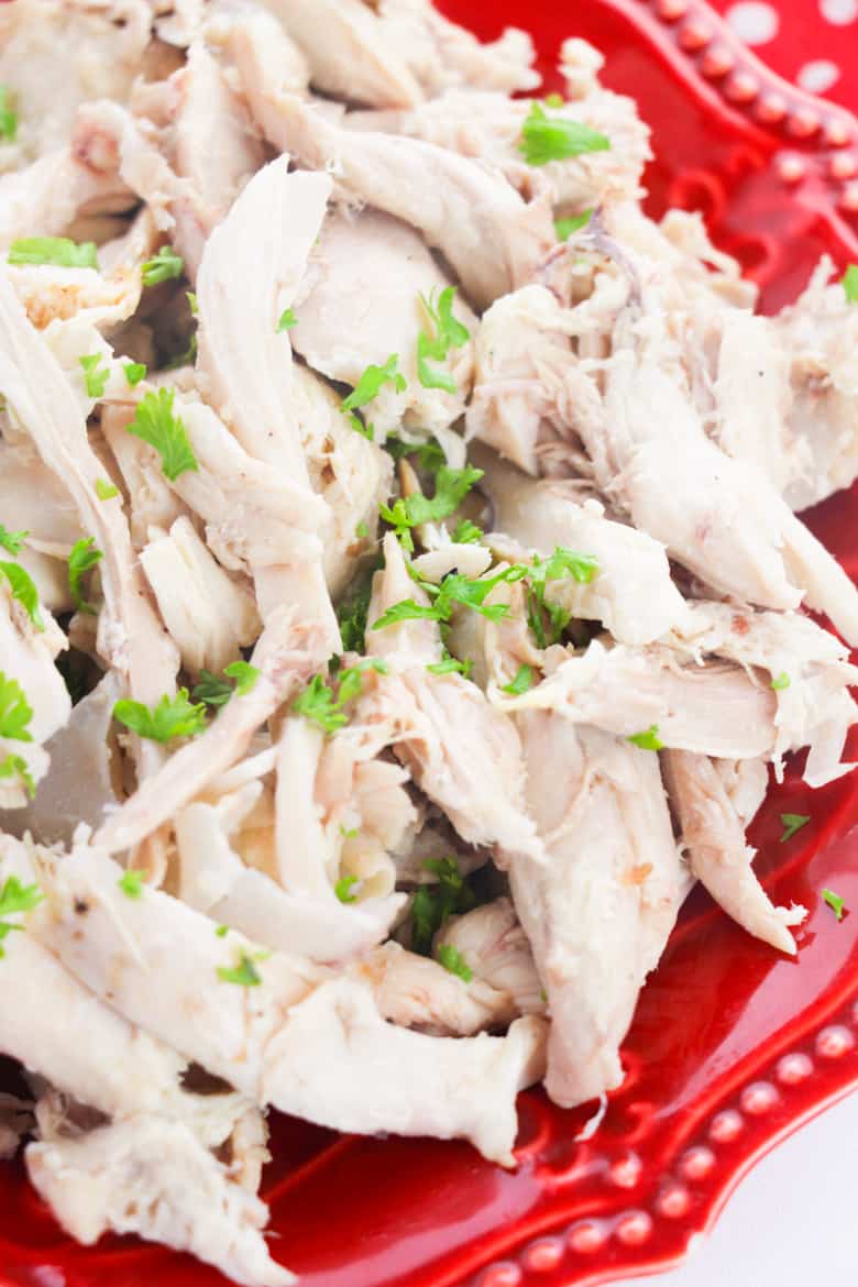 Shredded chicken on red plate