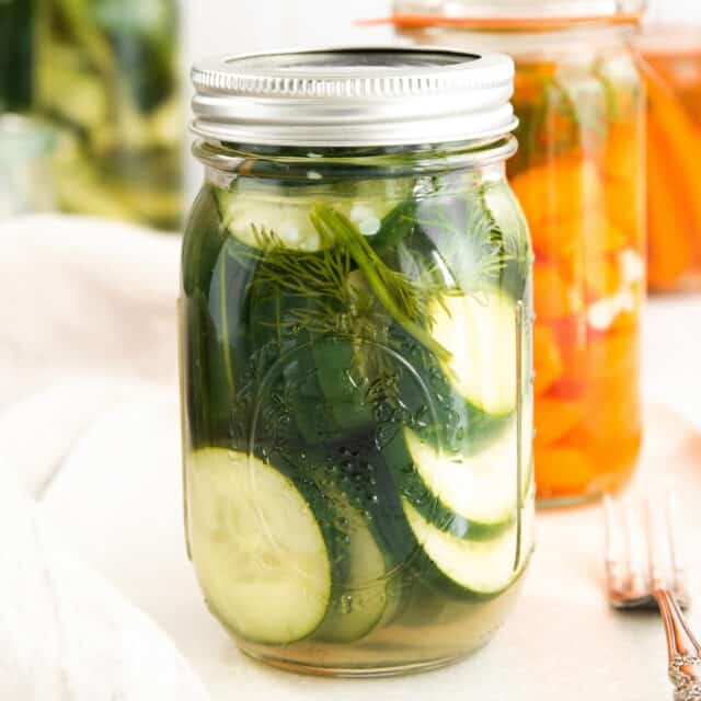 Quick Pickles (Easy Refrigerator Dill Pickle Recipe)